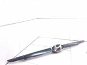 Kühlergrill oben Hyundai Getz (TB)