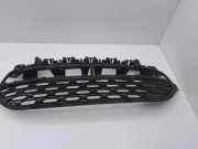 Gitter vorne unten CITROËN C4 II (B7) 1.6 HDi 110