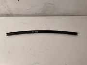 Türverkleidung links hinten BMW X5 (E70)