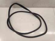 Türgummi links vorne MG MG ZS ()