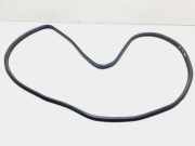 Türdichtungsgummi vorne links SAAB 900 II Cabrio 2.0 -16 Turbo