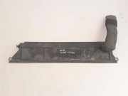 Kühlerluftumlenker RENAULT SCÉNIC III (JZ0/1_) 1.9 dCi (JM14) 214760027R