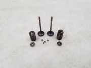 Einlassventile BMW 5 (F10) 550 i xDrive