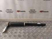 Stoßdämpfer hinten links