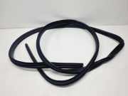 Türgummi links vorne Nissan Qashqai II (J11) 769226UA0A