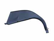 Zierleiste BMW X6 (E71, E72) 7148519