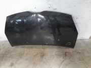 Motorhaube TOYOTA COROLLA Verso (ZER_, ZZE12_, R1_) 2.2 D-4D (AUR10_)
