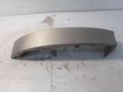 Lampenverkleidung hinten links