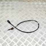 Temperatursensor VW TIGUAN (5N_) 2.0 TDI 03L906088BD