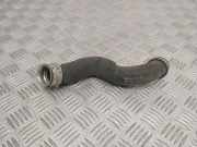 Wasserkühlerschlauch rechts