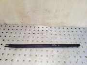 Andere Aufbauteile NISSAN PATHFINDER III (R51) 2.5 dCi 4WD