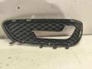 Gitter vorne unten MERCEDES-BENZ E (W212) E 200 CGI (212.048, 212.148) A2128851423