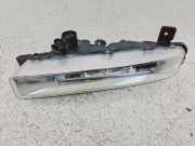 Nebelscheinwerfer vorne rechts BMW 5 (G30) 530 i 13101610