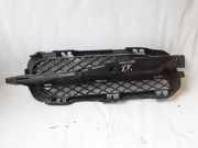 Gitter vorne unten JAGUAR XF SPORTBRAKE (X250) 2.2 D 8X2315K232BC