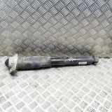 Stoßdämpfer hinten links