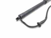 Heckklappe Gasdruckfeder rechts TOYOTA RAV 4 V (XA50) AWD Hybrid LE+ 2.5 3072010464 6891042060