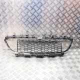 Gitter vorne unten BMW 3 (F30, F80) 320 d 8054132