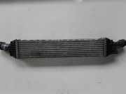 Ladeluftkühler AUDI A4 (8K2, B8) 2.0 TDI 8K0145805G