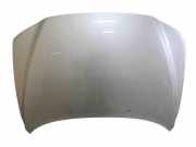 Motorhaube Volvo V70 III (135)