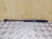 Heckklappe Gasdruckfeder links AUDI Q5 (8R) 2.0 TDI quattro 8R0827552