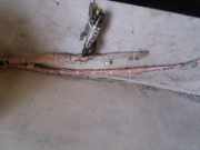 Airbag Dach rechts Honda FR-V (BE) 10254645603