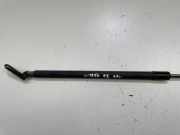 Heckklappe Gasdruckfeder links NISSAN X-TRAIL (T31) 2.0 dCi