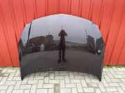 Motorhaube OPEL INSIGNIA A Estate (G09) 2.0 CDTI 4x4 (35)