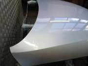 Motorhaube VW Passat B6 (3C2)