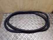 Türdichtung VW Golf V Plus (5M, 521) 5M0867913D