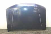 Motorhaube Nissan Pathfinder III (R51)
