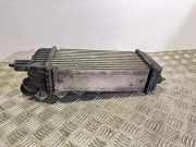 Ladeluftkühler Fiat Scudo Kasten (270) 1498987080