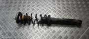 Stoßdämpfer links hinten BMW 5er (F10) 6863299