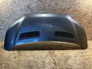 Motorhaube FORD TRANSIT Furgon 2.0 TDCi [RWD]