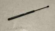 Heckklappe Gasdruckfeder links AUDI A3 (8V1, 8VK) S3 quattro 8v382755205s