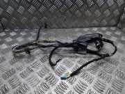 Kabel Tür BMW X3 (E83) 341257408