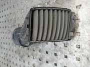 Frischluftgrill RENAULT LAGUNA II Grandtour (KG0/1_) 1.9 dCi (KG0G) 214608 226046