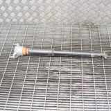 Stoßdämpfer hinten links