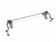 Stabilisator hinten Citroen C5 III Break (RW)