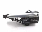 Türgriff rechts hinten Renault Clio IV (BH)