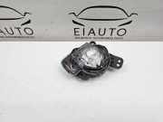 Nebelscheinwerfer vorne rechts