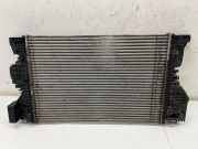 Ladeluftkühler MERCEDES-BENZ A (V177, Z177) A 250e (177.185) A2475006100
