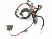 Türverkabelung hinten links HYUNDAI SONATA V (NF) 3.3 916503K020