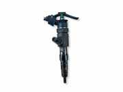 Einspritzdüse CITROËN C4 II (B7) 1.6 BlueHDi 100 0445110340