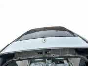 Dach LAND ROVER RANGE ROVER IV (L405) 5.0 4x4