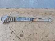 Stoßdämpfer hinten links VW TOURAN (1T1, 1T2) 2.0 TDI 16V 4902001200
