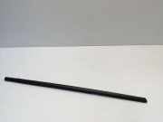 Türverkleidung rechts hinten BMW 3er (G20, G28, G80)