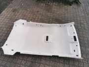 Dachverkleidung RENAULT LAGUNA Coupe (DT0/1) 2.0 dCi