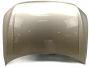 Motorhaube VW Tiguan I (5N) 5NN823031B