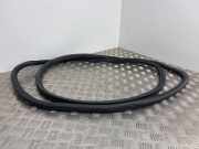 Dichtung für Koffer-/Laderaumklappe Peugeot Expert III Kasten (V)