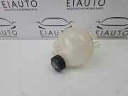 Ausgleichsbehälter PEUGEOT 2008 II e-2008 9824198680